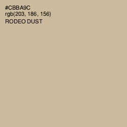 #CBBA9C - Rodeo Dust Color Image